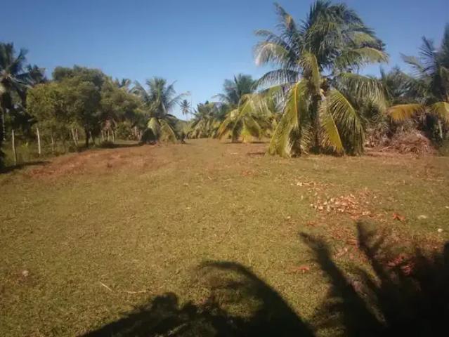 Sítio e chácara venda em Região Geográfica Imediata de Alagoinhas, Região Nordeste