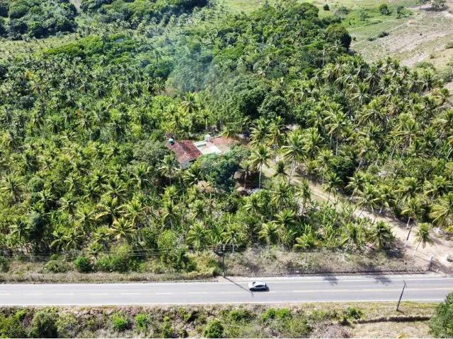 Sítio e chácara venda em Região Geográfica Imediata de João Pessoa, Região Metropolitana de João Pessoa