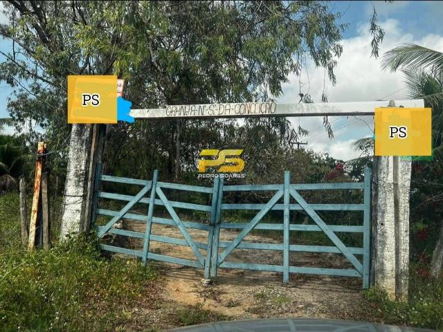 Sítio e chácara venda em Conde