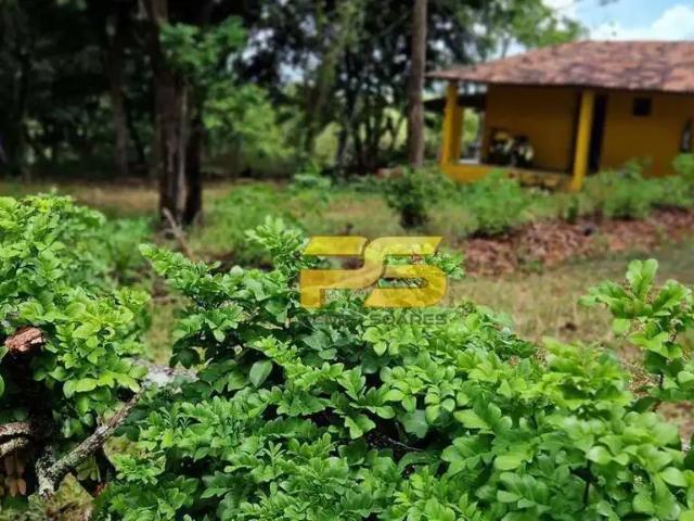 Sítio e chácara venda em Região Geográfica Imediata de João Pessoa, Região Metropolitana de João Pessoa