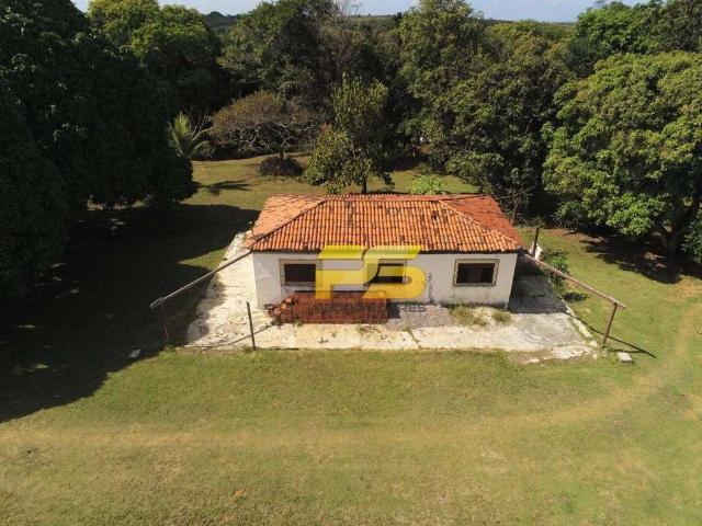 Sítio e chácara venda em Região Geográfica Imediata de João Pessoa, Região Metropolitana de João Pessoa