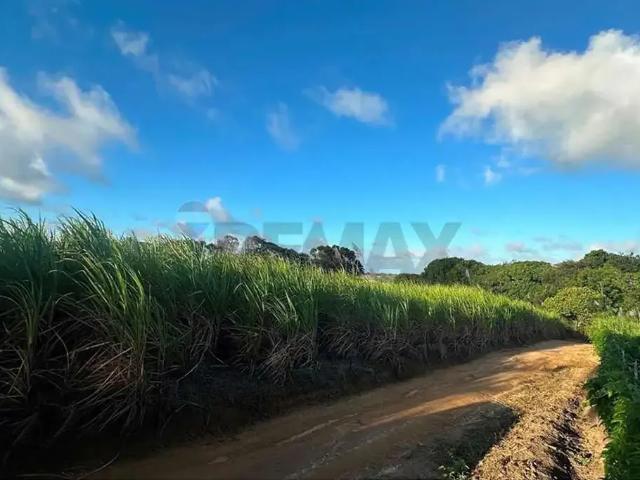 Sítio e chácara venda em Região Geográfica Imediata de João Pessoa, Região Metropolitana de João Pessoa