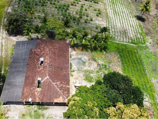 Sítio e chácara venda em Região Geográfica Imediata de João Pessoa, Região Metropolitana de João Pessoa