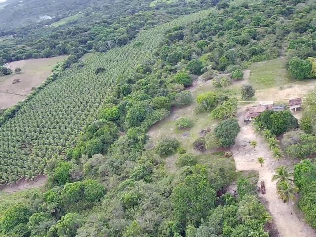 Sítio e chácara venda em Conde, Região Geográfica Intermediária de João Pessoa