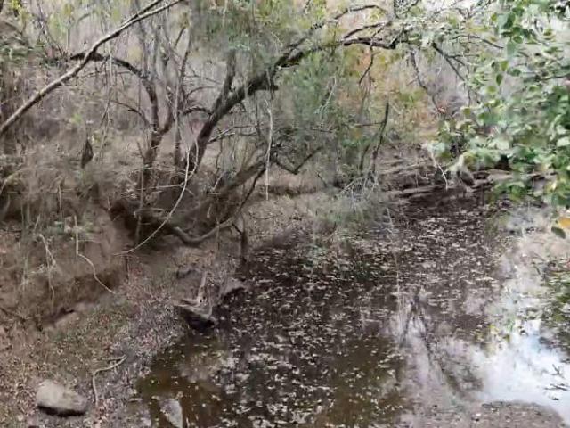 Sítio e chácara venda em Condeúba