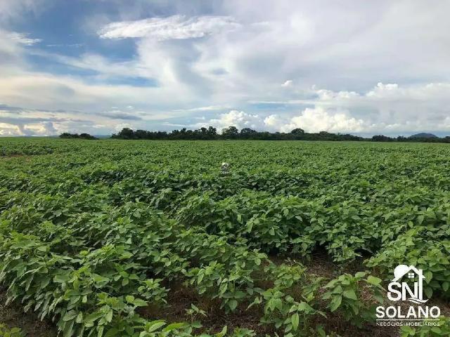 Sítio e chácara venda em Região Geográfica Imediata de Confresa - Vila Rica, Confresa