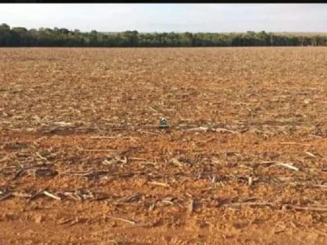 Sítio e chácara venda em Vila Nova, Confresa