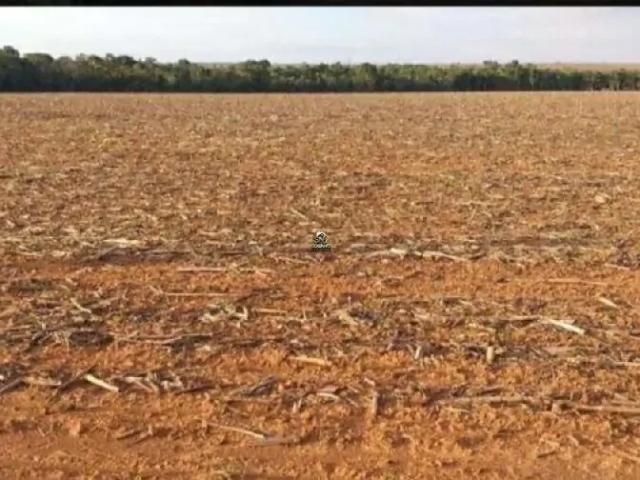 Sítio e chácara venda em Região Geográfica Imediata de Confresa - Vila Rica, Confresa