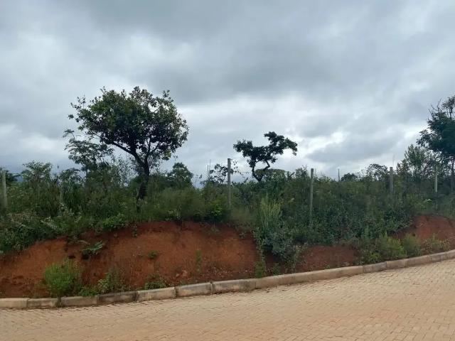 Sítio e chácara venda em Região Geográfica Imediata de Conselheiro Lafaiete, Congonhas