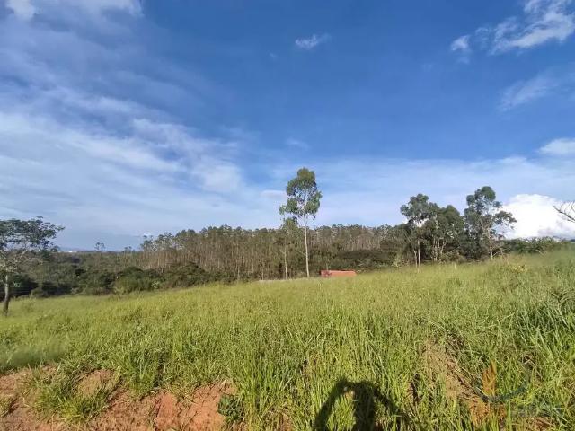 Sítio e chácara venda em Conselheiro Lafaiete, Região Geográfica Intermediária de Juiz de Fora