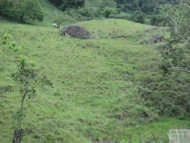 Sítio e chácara venda em Região Geográfica Imediata de Pouso Alegre, Consolação