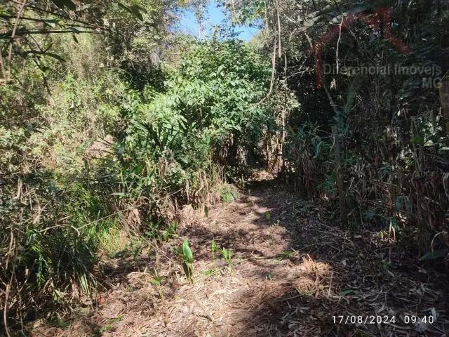 Sítio e chácara venda em Região Geográfica Imediata de Belo Horizonte, Região Metropolitana de Belo Horizonte