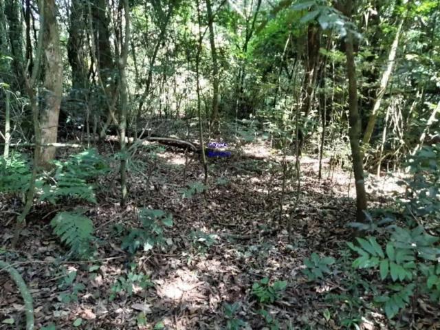 Sítio e chácara venda em Região Geográfica Imediata de Curitiba, Região Metropolitana de Curitiba
