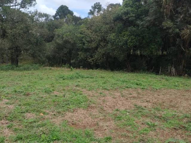 Sítio e chácara venda em Região Geográfica Imediata de Curitiba, Região Metropolitana de Curitiba