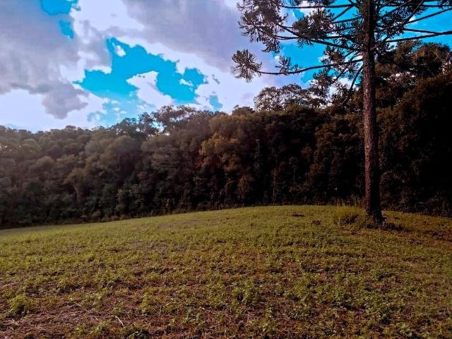 Sítio e chácara venda em Região Geográfica Imediata de Curitiba, Região Metropolitana de Curitiba