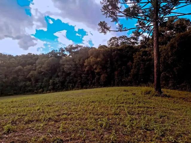 Sítio e chácara venda em Região Geográfica Imediata de Curitiba, Região Metropolitana de Curitiba