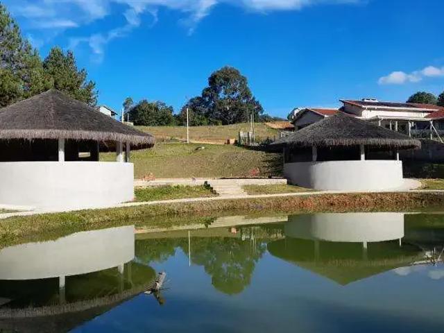 Sítio e chácara venda em Região Geográfica Imediata de Curitiba, Região Metropolitana de Curitiba