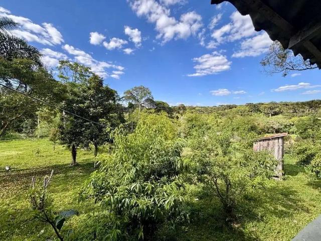 Sítio e chácara venda em Contenda, Região Geográfica Intermediária de Curitiba