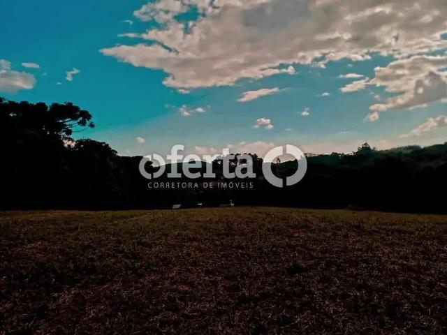 Sítio e chácara venda em Contenda, Região Geográfica Intermediária de Curitiba