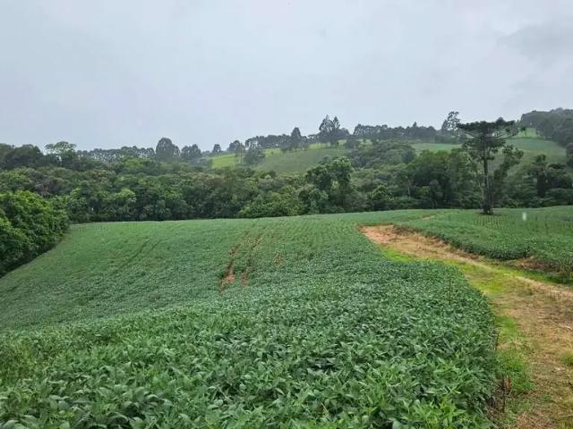Sítio e chácara venda em Região Geográfica Imediata de Curitiba, Região Metropolitana de Curitiba