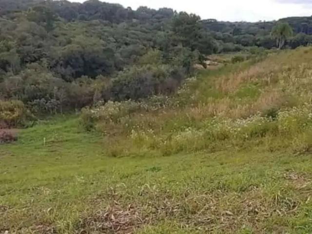 Sítio e chácara venda em Região Geográfica Imediata de Curitiba, Região Metropolitana de Curitiba