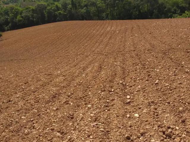 Sítio e chácara venda em Região Geográfica Imediata de Curitiba, Região Metropolitana de Curitiba