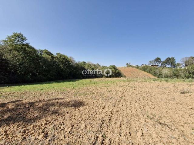 Sítio e chácara venda em Região Geográfica Imediata de Curitiba, Região Metropolitana de Curitiba