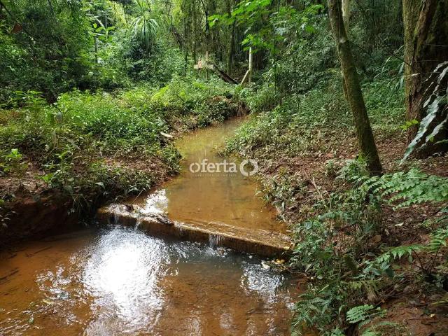 Sítio e chácara venda em Região Geográfica Imediata de Curitiba, Região Metropolitana de Curitiba