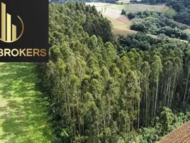 Sítio e chácara venda em Região Geográfica Imediata do Rio de Janeiro, Região Metropolitana do Rio de Janeiro