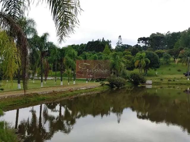 Sítio e chácara venda em Região Geográfica Imediata de Curitiba, Região Metropolitana de Curitiba