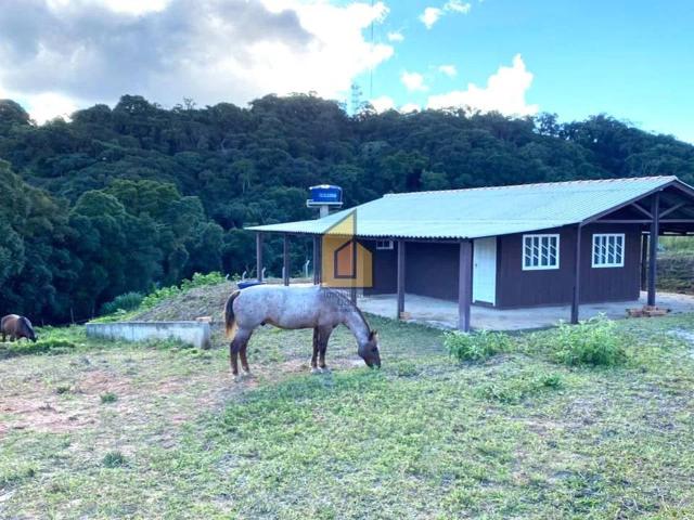 Sítio e chácara venda em Contenda, Região Geográfica Intermediária de Curitiba