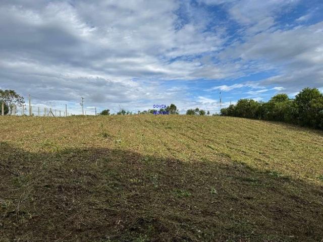 Sítio e chácara venda em Região Geográfica Imediata de Curitiba, Região Metropolitana de Curitiba