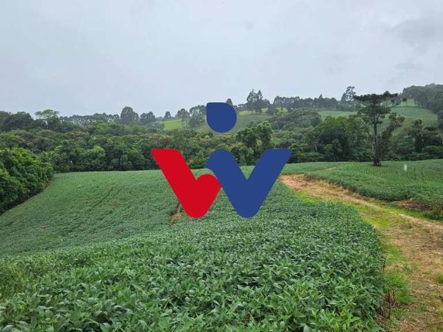 Sítio e chácara venda em Região Geográfica Imediata de Curitiba, Região Metropolitana de Curitiba