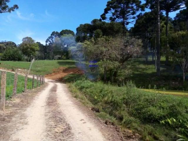 Sítio e chácara venda em Região Geográfica Imediata de Seabra, Seabra