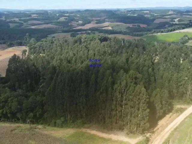 Sítio e chácara venda em Região Geográfica Imediata de Curitiba, Região Metropolitana de Curitiba