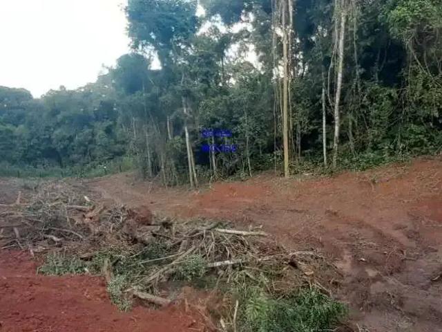 Sítio e chácara venda em Região Geográfica Imediata de Curitiba, Região Metropolitana de Curitiba