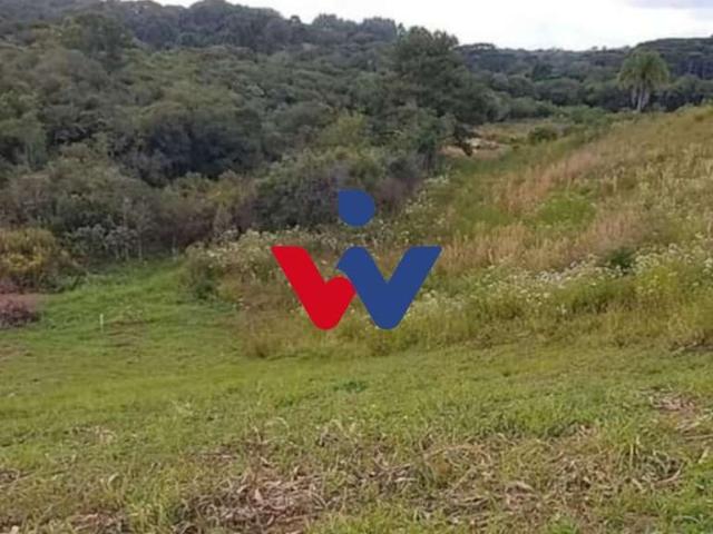 Sítio e chácara venda em Região Geográfica Imediata de Curitiba, Região Metropolitana de Curitiba