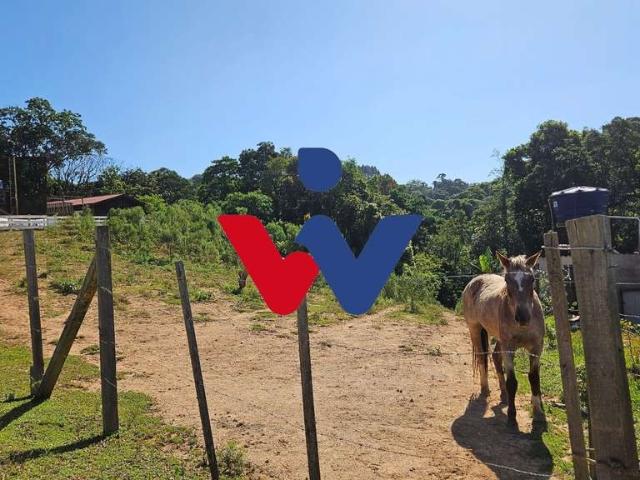 Sítio e chácara venda em Região Geográfica Imediata de Curitiba, Região Metropolitana de Curitiba