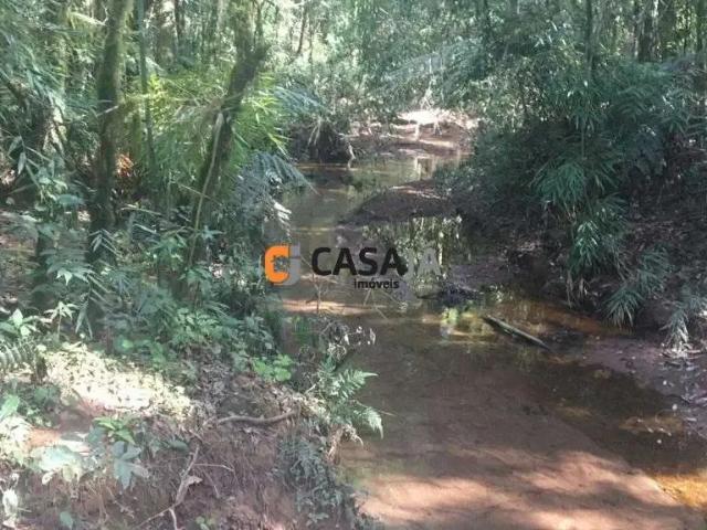 Sítio e chácara venda em Região Geográfica Imediata de Pelotas, Herval