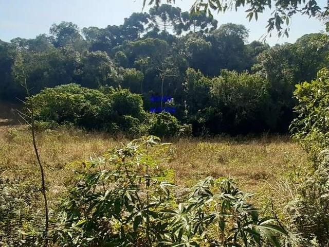 Sítio e chácara venda em Região Geográfica Imediata de Curitiba, Região Metropolitana de Curitiba