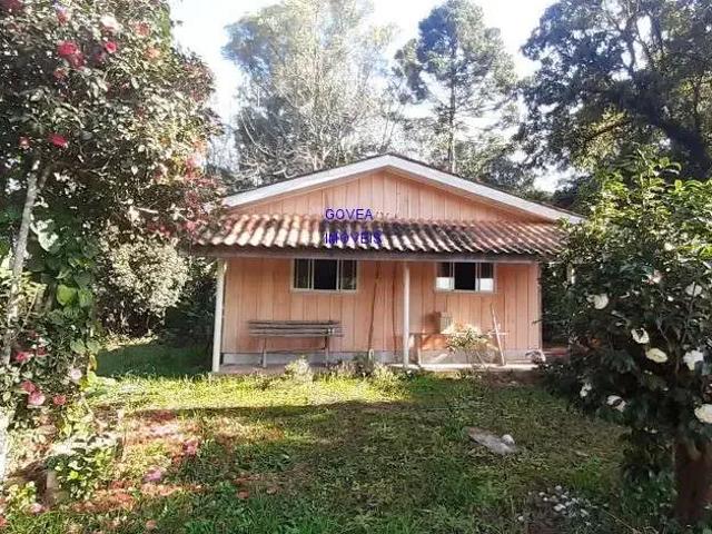 Sítio e chácara venda em Região Geográfica Imediata de Curitiba, Região Metropolitana de Curitiba