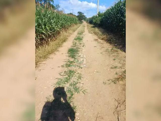 Sítio e chácara venda em Região Geográfica Imediata de Curitiba, Região Metropolitana de Curitiba