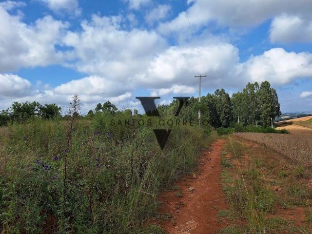 Sítio e chácara venda em Região Geográfica Imediata de Curitiba, Região Metropolitana de Curitiba