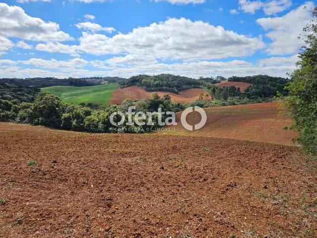 Sítio e chácara venda em Região Geográfica Imediata de Curitiba, Região Metropolitana de Curitiba