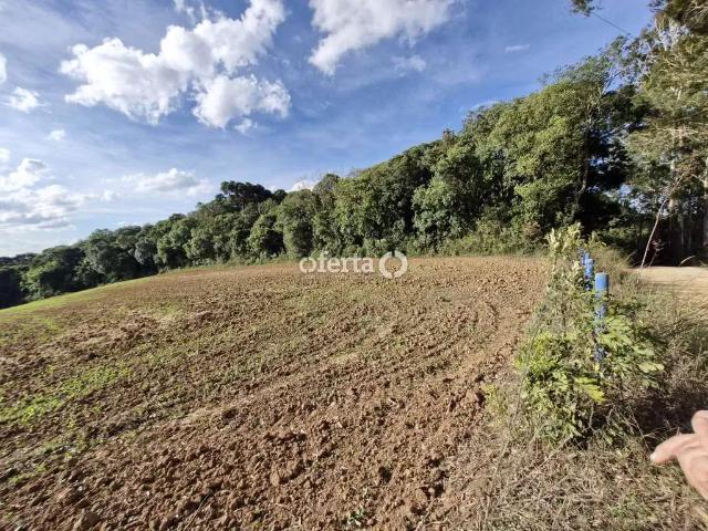 Sítio e chácara venda em Região Geográfica Imediata de Curitiba, Região Metropolitana de Curitiba
