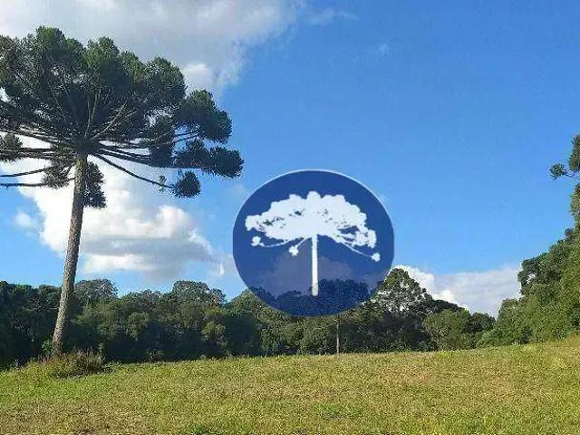 Sítio e chácara venda em Região Geográfica Imediata de Curitiba, Região Metropolitana de Curitiba