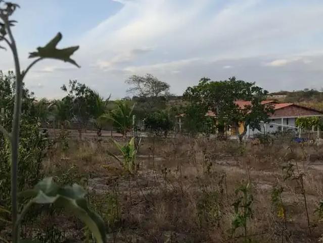 Sítio e chácara venda em Região Geográfica Imediata de Feira de Santana, Região Metropolitana de Feira de Santana