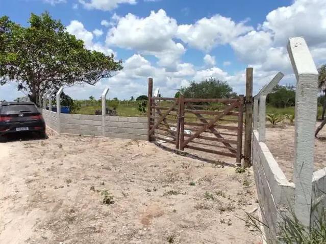 Sítio e chácara venda em Região Geográfica Imediata de Feira de Santana, Região Metropolitana de Feira de Santana