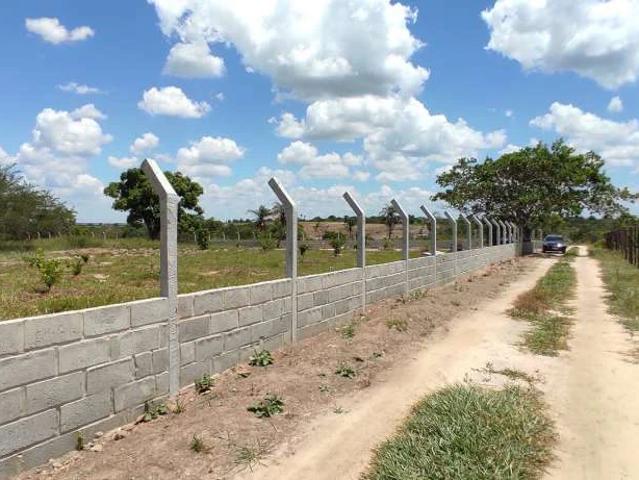 Sítio e chácara venda em Coração de Maria, Região Geográfica Intermediária de Feira de Santana