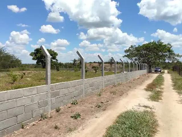 Sítio e chácara venda em Região Geográfica Imediata de Feira de Santana, Região Metropolitana de Feira de Santana